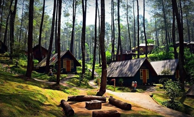 Wisata Alam Orchid Forest Cikole Bandung | Smartmama